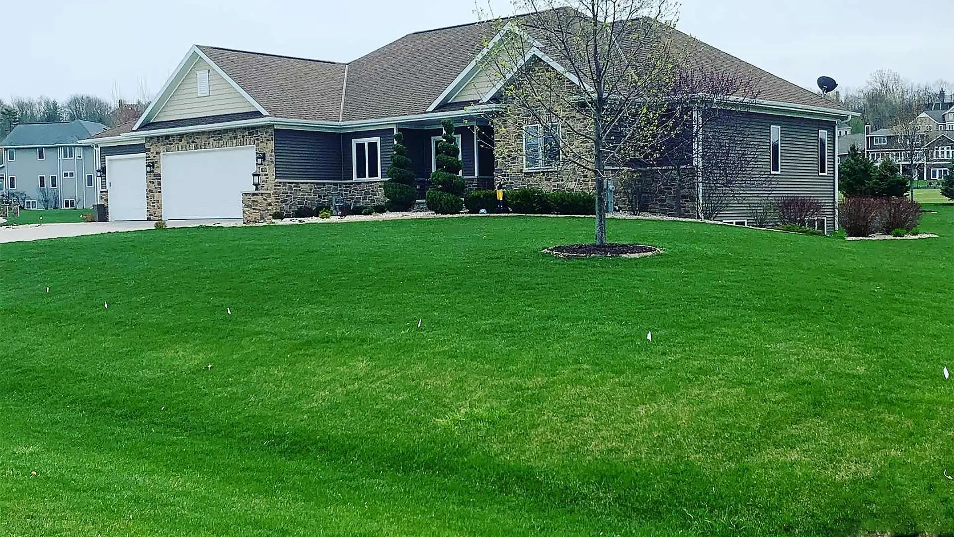 Vibrant green lawn after fertilization service in Kingsford, MI.