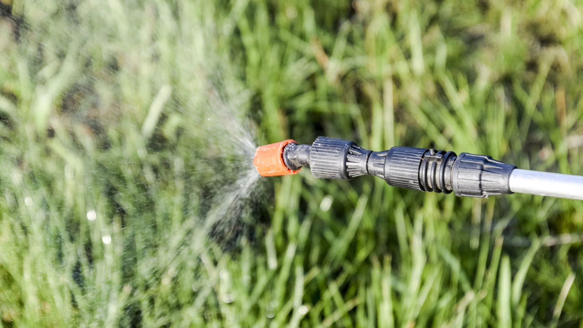 Liquid fertilizer treatment being applied to lawn in Appleton, WI.